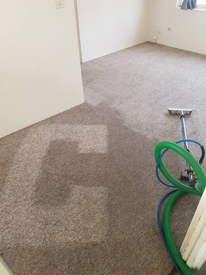 Carpet steam cleaning before and after Sutherland Shire