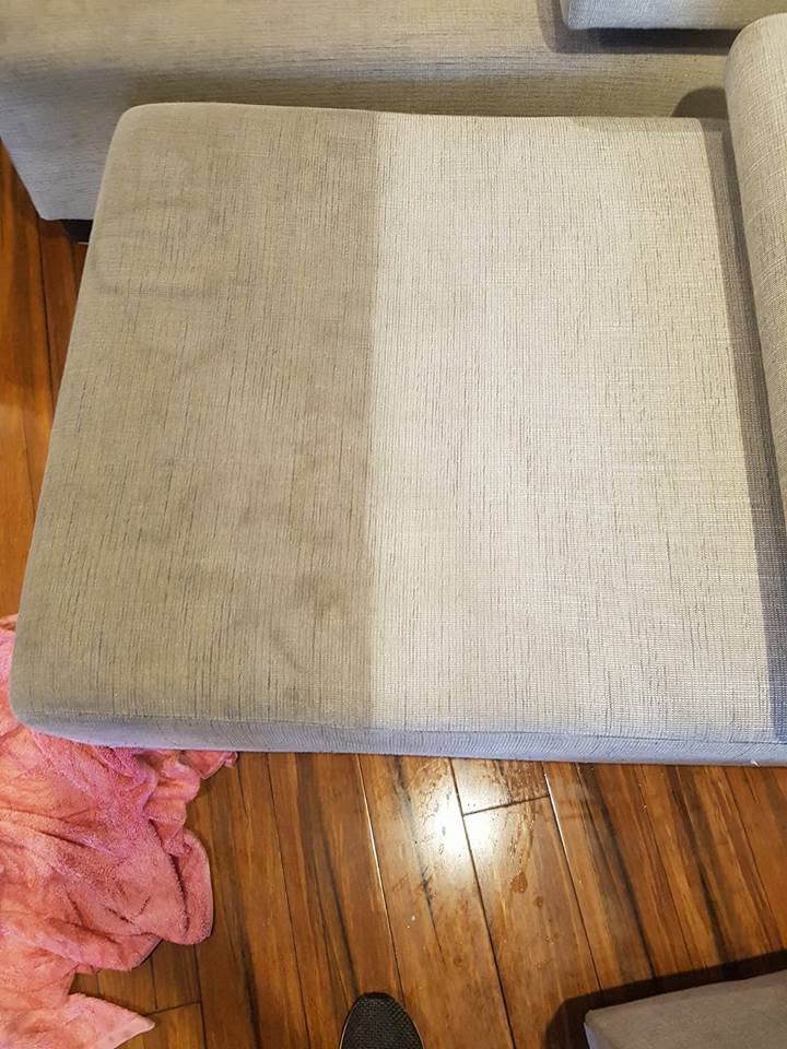 Carpet cleaning result Sutherland Shire home